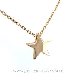 Auksinė dviguba grandinėlė su pakabuku