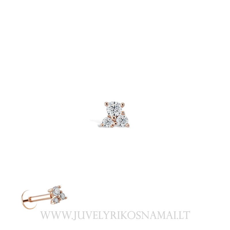 Auksinis pirsingo auskaras į ausį