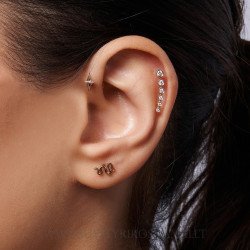 Auksinis pirsingo auskaras į ausį Gyvatė