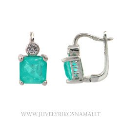 Sidabriniai auskarai su...