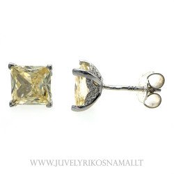 Sidabriniai auskrai -...