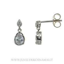 Sidabriniai auskrai -...