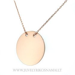 Auksinė grandinėlė su pakabuku - plokštele 43 cm