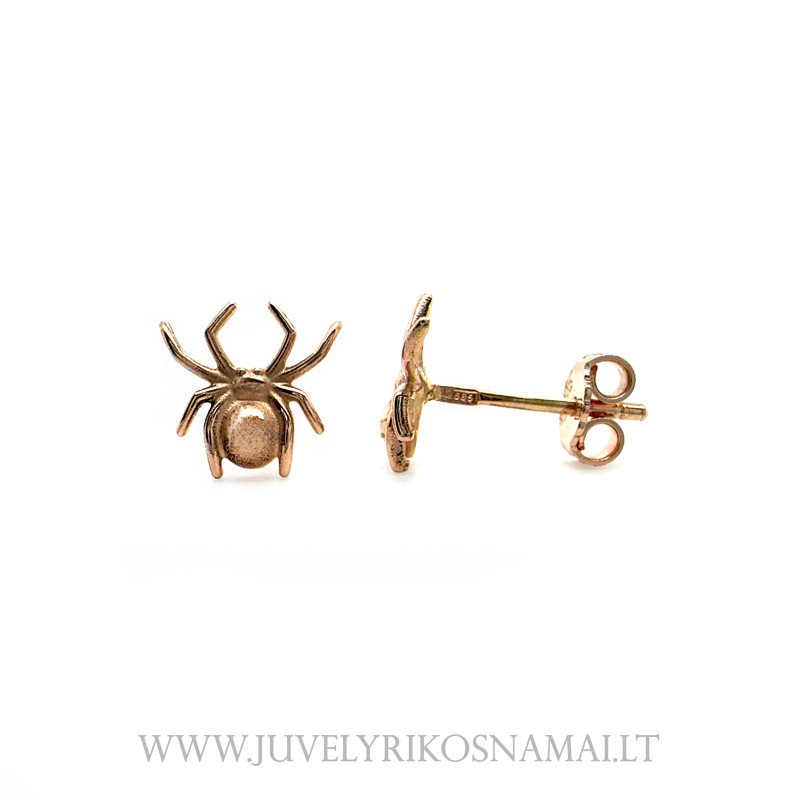 Auksiniai auskarai "Voriukai" (vinukai)