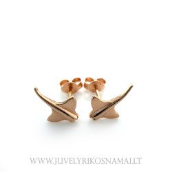 Auksiniai auskarai "Rajos" (vinukai)