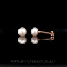Auksiniai auskarai - vinukai su perlais