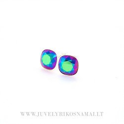 Sidabriniai auskarai su Swarovski kristalais