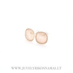 Sidabriniai auskarai su Swarovski kristalais