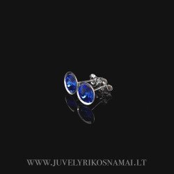 Sidabriniai auskarai su Swarovski kristalais